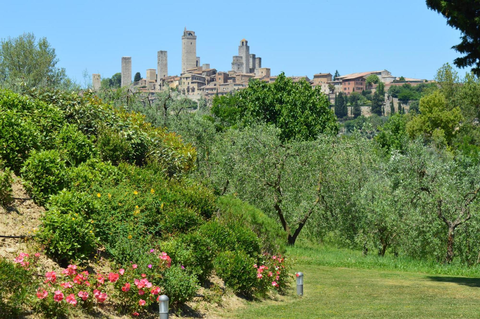 Tenuta Guardastelle - And Vineyard *